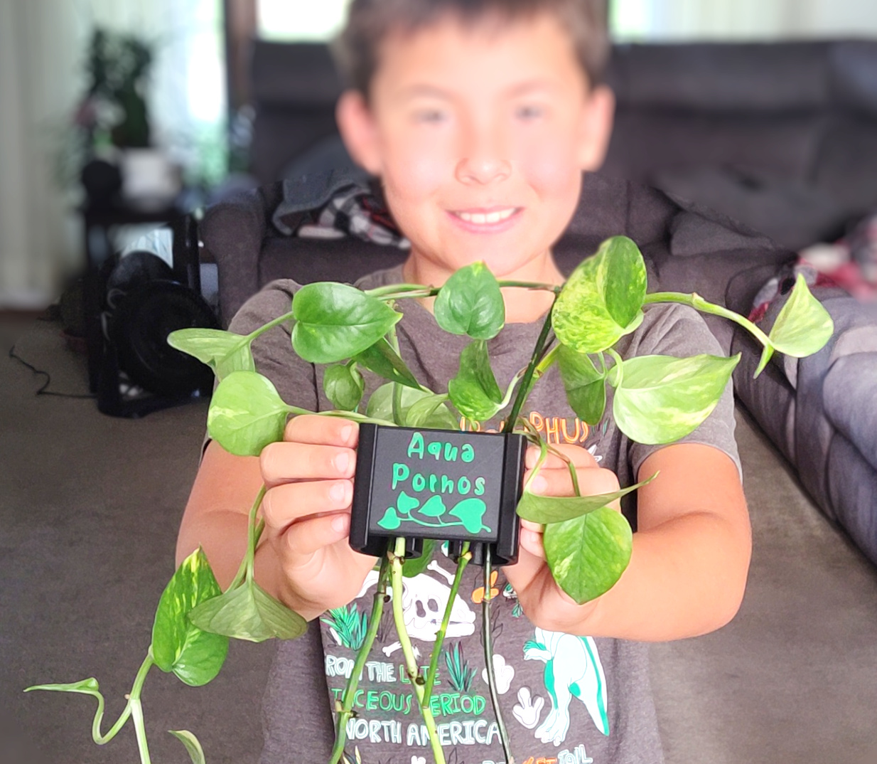 Aqua Pothos Mini - hang on rim aquarium plant holder