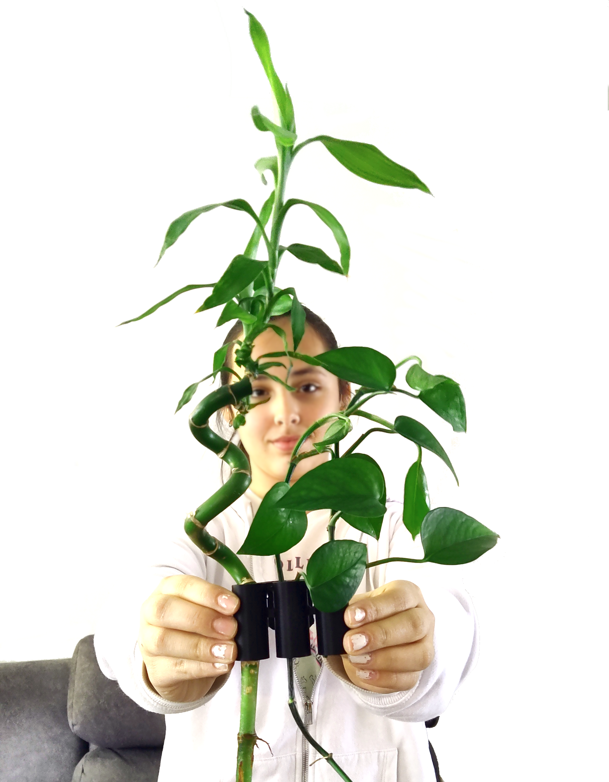 Aqua Pothos Lite - hang on rim aquarium plant holder